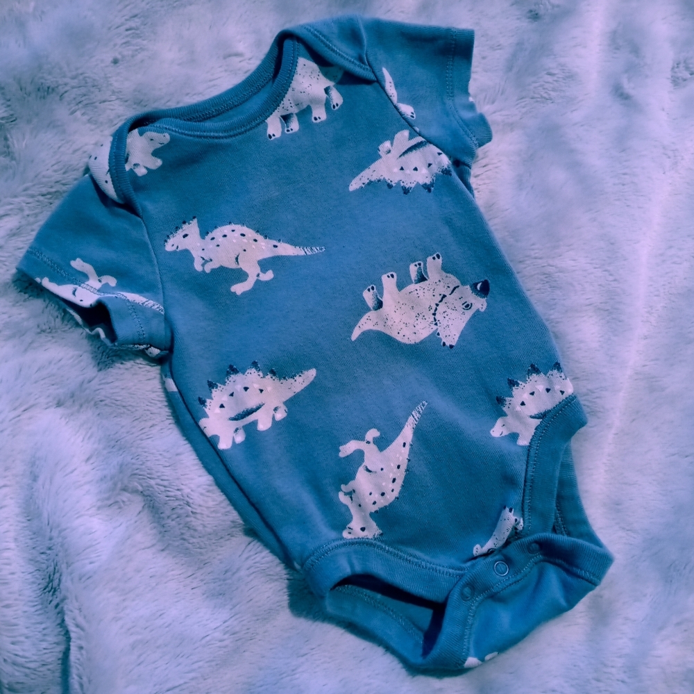 3/$12 Dinosaur Onesie